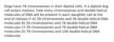 Dogs have 78 chromosomes in their diploid cells. If a diploid dog cell enters meiosis, how many chromosomes and double-helical molecules of DNA will be present in each daughter cell at the end of meiosis I? A) 39 chromosomes and 39 double-helical DNA molecules B) 39 chromosomes and 78 double-helical DNA molecules C) 78 chromosomes and 78 double-helical DNA molecules D) 78 chromosomes and 156 double-helical DNA molecules