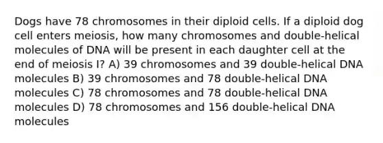 Dogs have 78 chromosomes in their diploid cells. If a diploid dog cell enters meiosis, how many chromosomes and double-helical molecules of DNA will be present in each daughter cell at the end of meiosis I? A) 39 chromosomes and 39 double-helical DNA molecules B) 39 chromosomes and 78 double-helical DNA molecules C) 78 chromosomes and 78 double-helical DNA molecules D) 78 chromosomes and 156 double-helical DNA molecules