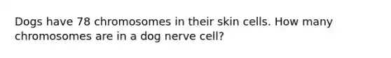 Dogs have 78 chromosomes in their skin cells. How many chromosomes are in a dog nerve cell?