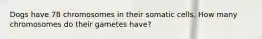 Dogs have 78 chromosomes in their somatic cells. How many chromosomes do their gametes have?