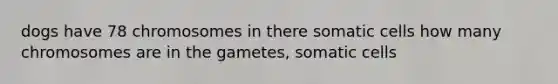 dogs have 78 chromosomes in there somatic cells how many chromosomes are in the gametes, somatic cells