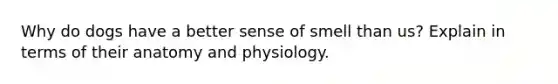 Why do dogs have a better sense of smell than us? Explain in terms of their anatomy and physiology.