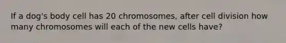 If a dog's body cell has 20 chromosomes, after cell division how many chromosomes will each of the new cells have?