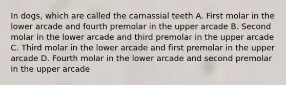 In dogs, which are called the carnassial teeth A. First molar in the lower arcade and fourth premolar in the upper arcade B. Second molar in the lower arcade and third premolar in the upper arcade C. Third molar in the lower arcade and first premolar in the upper arcade D. Fourth molar in the lower arcade and second premolar in the upper arcade