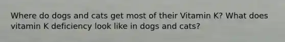 Where do dogs and cats get most of their Vitamin K? What does vitamin K deficiency look like in dogs and cats?
