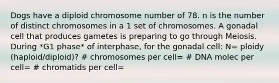 Dogs have a diploid chromosome number of 78. n is the number of distinct chromosomes in a 1 set of chromosomes. A gonadal cell that produces gametes is preparing to go through Meiosis. During *G1 phase* of interphase, for the gonadal cell: N= ploidy (haploid/diploid)? # chromosomes per cell= # DNA molec per cell= # chromatids per cell=