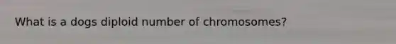 What is a dogs diploid number of chromosomes?