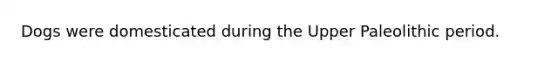 Dogs were domesticated during the Upper Paleolithic period.