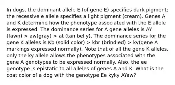 In dogs, the dominant allele E (of gene E) specifies dark pigment; the recessive e allele specifies a light pigment (cream). Genes A and K determine how the phenotype associated with the E allele is expressed. The dominance series for A gene alleles is AY (fawn) > aw(gray) > at (tan belly). The dominance series for the gene K alleles is Kb (solid color) > kbr (brindled) > ky(gene A markings expressed normally). Note that of all the gene K alleles, only the ky allele allows the phenotypes associated with the gene A genotypes to be expressed normally. Also, the ee genotype is epistatic to all alleles of genes A and K. What is the coat color of a dog with the genotype Ee kyky AYaw?