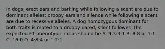 In dogs, erect ears and barking while following a scent are due to dominant alleles; droopy ears and silence while following a scent are due to recessive alleles. A dog homozygous dominant for both traits is mated to a droopy-eared, silent follower. The expected F1 phenotypic ratios should be A. 9:3:3:1 B. 8:8 or 1:1 C. 16:0 D. 4:8:4 or 1:2:1