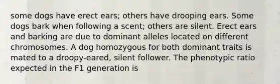 some dogs have erect ears; others have drooping ears. Some dogs bark when following a scent; others are silent. Erect ears and barking are due to dominant alleles located on different chromosomes. A dog homozygous for both dominant traits is mated to a droopy-eared, silent follower. The phenotypic ratio expected in the F1 generation is