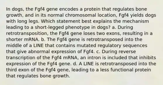 In dogs, the Fgf4 gene encodes a protein that regulates bone growth, and in its normal chromosomal location, Fgf4 yields dogs with long legs. Which statement best explains the mechanism leading to a short-legged phenotype in dogs? a. During retrotransposition, the Fgf4 gene loses two exons, resulting in a shorter mRNA. b. The Fgf4 gene is retrotransposed into the middle of a LINE that contains mutated regulatory sequences that give abnormal expression of Fgf4. c. During reverse transcription of the Fgf4 mRNA, an intron is included that inhibits expression of the Fgf4 gene. d. A LINE is retrotransposed into the third exon of the Fgf4 gene, leading to a less functional protein that regulates bone growth.