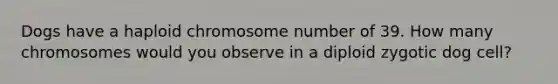 Dogs have a haploid chromosome number of 39. How many chromosomes would you observe in a diploid zygotic dog cell?