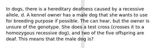 In dogs, there is a hereditary deafness caused by a recessive allele, d. A kennel owner has a male dog that she wants to use for breeding purpose if possible. The can hear, but the owner is unsure of the genotype. She does a test cross (crosses it to a homozygous recessive dog), and two of the five offspring are deaf. This means that the male dog is?