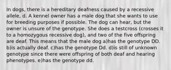 In dogs, there is a hereditary deafness caused by a recessive allele, d. A kennel owner has a male dog that she wants to use for breeding purposes if possible. The dog can hear, but the owner is unsure of the genotype. She does a testcross (crosses it to a homozygous recessive dog), and two of the five offspring are deaf. This means that the male dog a)has the genotype DD. b)is actually deaf. c)has the genotype Dd. d)is still of unknown genotype since there were offspring of both deaf and hearing phenotypes. e)has the genotype dd.