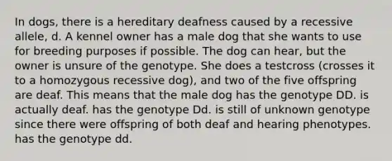 In dogs, there is a hereditary deafness caused by a recessive allele, d. A kennel owner has a male dog that she wants to use for breeding purposes if possible. The dog can hear, but the owner is unsure of the genotype. She does a testcross (crosses it to a homozygous recessive dog), and two of the five offspring are deaf. This means that the male dog has the genotype DD. is actually deaf. has the genotype Dd. is still of unknown genotype since there were offspring of both deaf and hearing phenotypes. has the genotype dd.