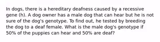 In dogs, there is a hereditary deafness caused by a recessive gene (h). A dog owner has a male dog that can hear but he is not sure of the dog's genotype. To find out, he tested by breeding the dog to a deaf female. What is the male dog's genotype if 50% of the puppies can hear and 50% are deaf?