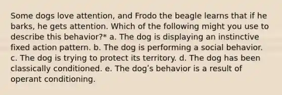 Some dogs love attention, and Frodo the beagle learns that if he barks, he gets attention. Which of the following might you use to describe this behavior?* a. The dog is displaying an instinctive fixed action pattern. b. The dog is performing a social behavior. c. The dog is trying to protect its territory. d. The dog has been classically conditioned. e. The dogʹs behavior is a result of operant conditioning.