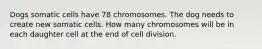 Dogs somatic cells have 78 chromosomes. The dog needs to create new somatic cells. How many chromosomes will be in each daughter cell at the end of cell division.