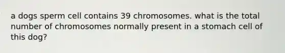 a dogs sperm cell contains 39 chromosomes. what is the total number of chromosomes normally present in a stomach cell of this dog?