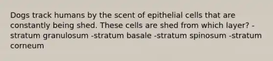 Dogs track humans by the scent of epithelial cells that are constantly being shed. These cells are shed from which layer? -stratum granulosum -stratum basale -stratum spinosum -stratum corneum