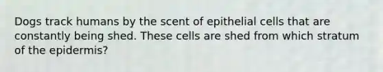 Dogs track humans by the scent of epithelial cells that are constantly being shed. These cells are shed from which stratum of the epidermis?