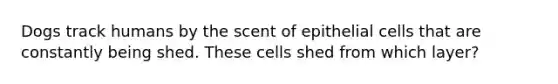 Dogs track humans by the scent of epithelial cells that are constantly being shed. These cells shed from which layer?