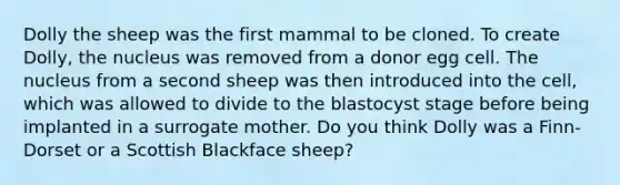 Dolly the sheep was the first mammal to be cloned. To create Dolly, the nucleus was removed from a donor egg cell. The nucleus from a second sheep was then introduced into the cell, which was allowed to divide to the blastocyst stage before being implanted in a surrogate mother. Do you think Dolly was a Finn-Dorset or a Scottish Blackface sheep?