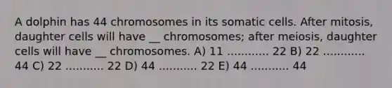 A dolphin has 44 chromosomes in its somatic cells. After mitosis, daughter cells will have __ chromosomes; after meiosis, daughter cells will have __ chromosomes. A) 11 ............ 22 B) 22 ............ 44 C) 22 ........... 22 D) 44 ........... 22 E) 44 ........... 44