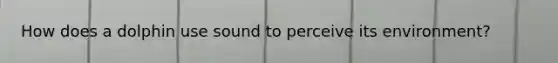 How does a dolphin use sound to perceive its environment?
