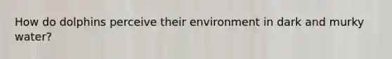 How do dolphins perceive their environment in dark and murky water?