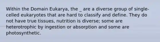 Within the Domain Eukarya, the _ are a diverse group of single-celled eukaryotes that are hard to classify and define. They do not have true tissues, nutrition is diverse; some are heterotrophic by ingestion or absorption and some are photosynthetic.