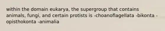 within the domain eukarya, the supergroup that contains animals, fungi, and certain protists is -choanoflagellata -bikonta -opisthokonta -animalia