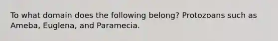 To what domain does the following belong? Protozoans such as Ameba, Euglena, and Paramecia.