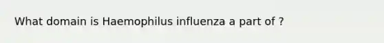 What domain is Haemophilus influenza a part of ?