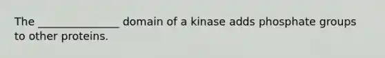 The _______________ domain of a kinase adds phosphate groups to other proteins.