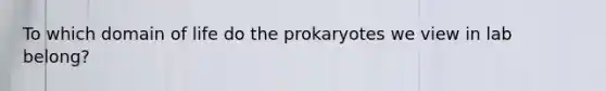 To which domain of life do the prokaryotes we view in lab belong?