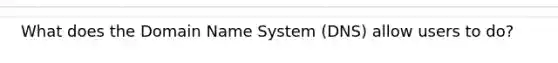 What does the Domain Name System (DNS) allow users to do?