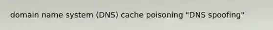 domain name system (DNS) cache poisoning "DNS spoofing"