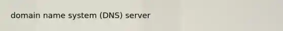 domain name system (DNS) server