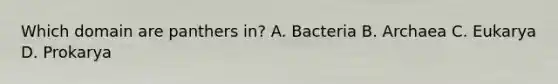 Which domain are panthers in? A. Bacteria B. Archaea C. Eukarya D. Prokarya