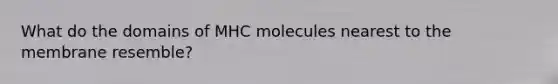 What do the domains of MHC molecules nearest to the membrane resemble?