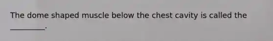The dome shaped muscle below the chest cavity is called the _________.