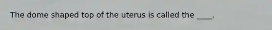 The dome shaped top of the uterus is called the ____.