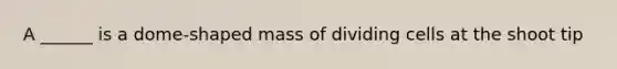 A ______ is a dome-shaped mass of dividing cells at the shoot tip