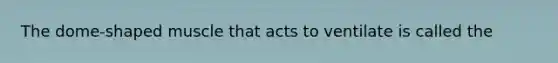 The dome-shaped muscle that acts to ventilate is called the