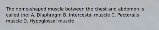 The dome-shaped muscle between the chest and abdomen is called the: A. Diaphragm B. Intercostal muscle C. Pectoralis muscle D. Hypoglossal muscle