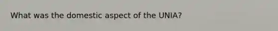 What was the domestic aspect of the UNIA?