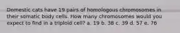 Domestic cats have 19 pairs of homologous chromosomes in their somatic body cells. How many chromosomes would you expect to find in a triploid cell? a. 19 b. 38 c. 39 d. 57 e. 76