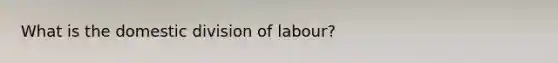 What is the domestic division of labour?